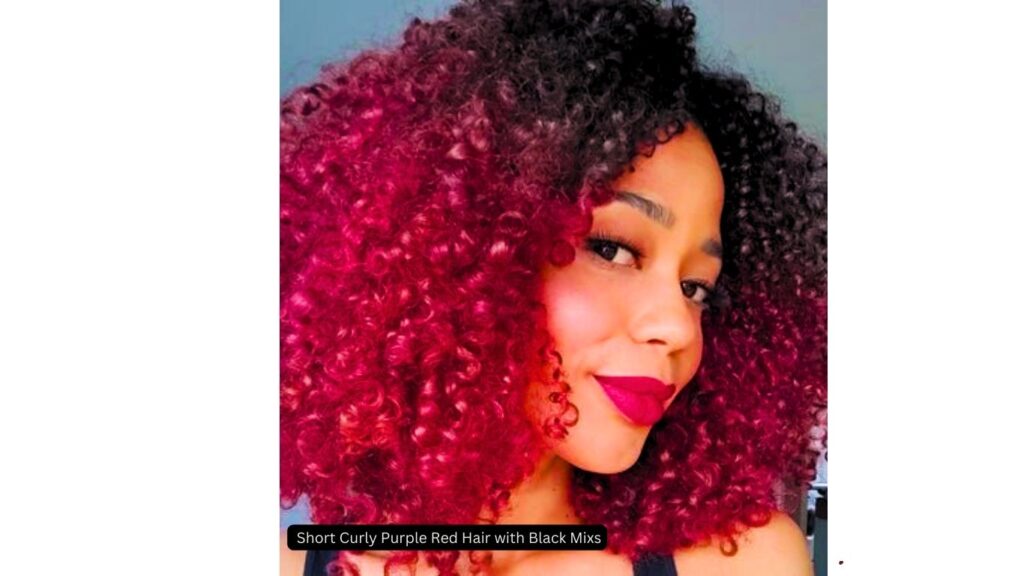  Short Curly Purple Red Hair with Black Mix